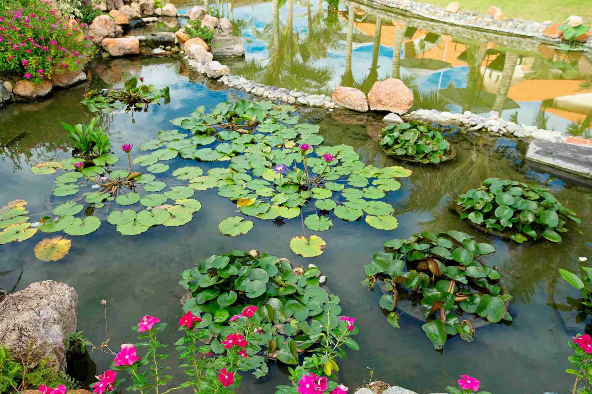 Blue Bay Mui Ne Resort & Spa Phan Thiết Esterno foto